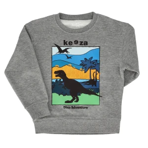 Bluza dziecięca Dino